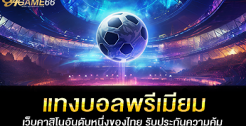 แทงบอลพรีเมียม เว็บคาสิโนอันดับหนึ่งของไทย รับประกันความคุ้ม